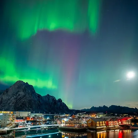 Central City Apartment Apartment